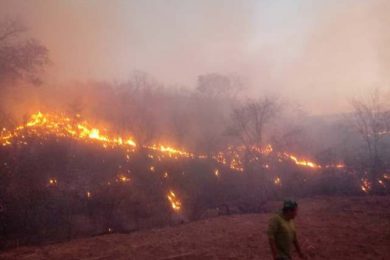 Piauí já registra mais de mil focos de queimadas em outubro