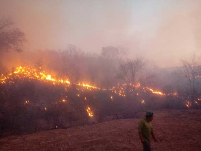 Piauí já registra mais de mil focos de queimadas em outubro