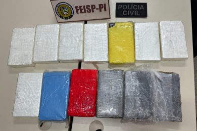 Polícia apreende cocaína que tinha Picos como destino