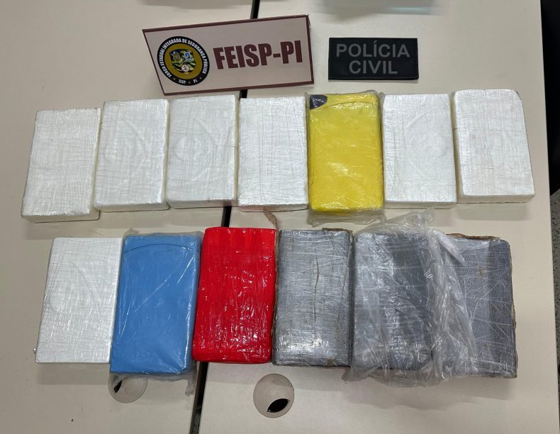 Polícia apreende cocaína que tinha Picos como destino