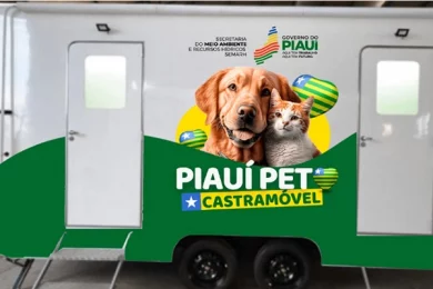 Piauí Pet Castramóvel estará em Picos em novembro