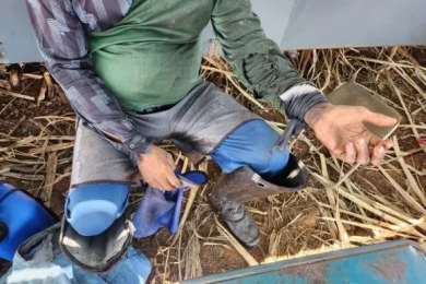 Piauienses são resgatados em situação análoga à escravidão