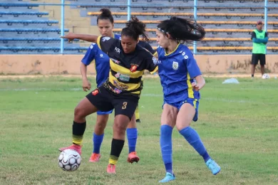 Abelhas Rainhas deixam escapar o título pela 2ª vez