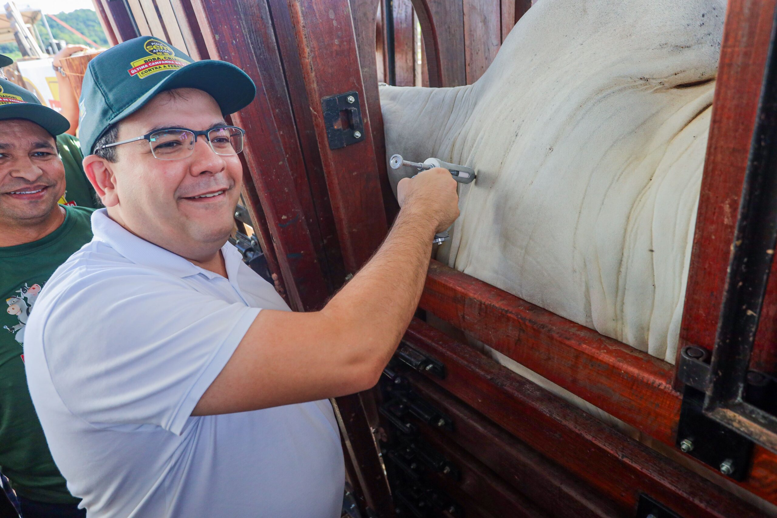 Piauí inicia última campanha de vacinação contra a aftosa