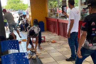 Após surto, homem quebra produtos de box comercial na Rodoviária de Picos