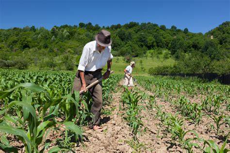 Piauí vai solicitar empréstimo de R$ 150 milhões para a agricultura familiar