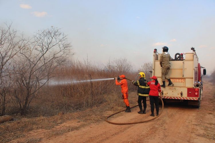 Piauí já registra mais de 2 mil focos de incêndio em setembro