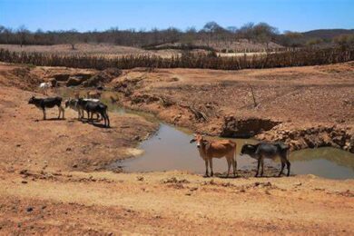 Área com seca no Piauí aumenta para 81% em agosto