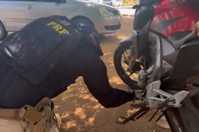 Operação contra fraudes veiculares apreende mais de 160 veículos