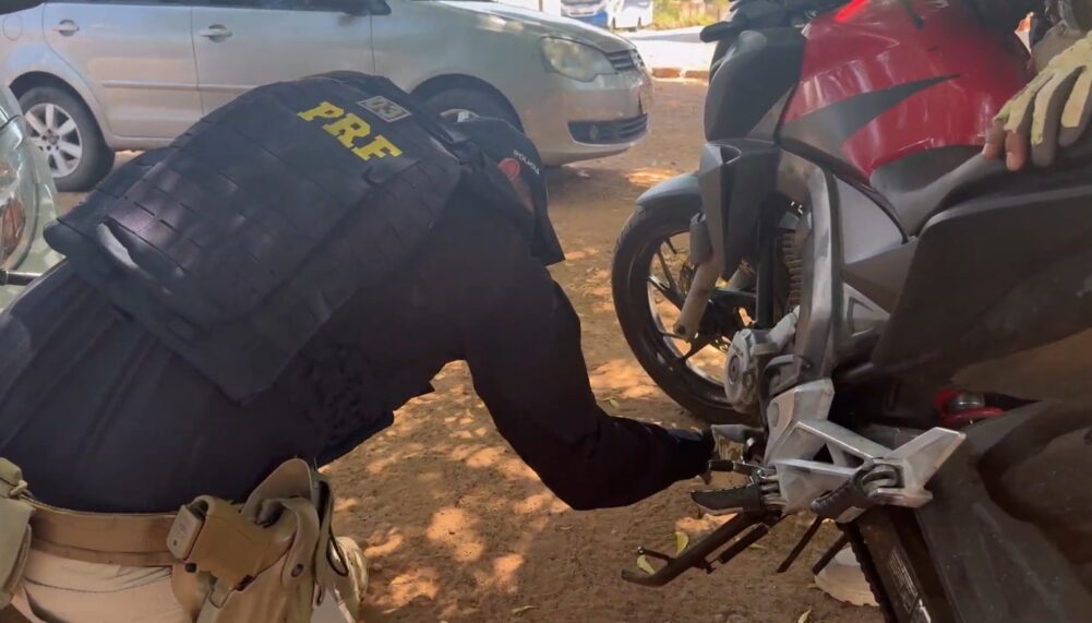 Operação contra fraudes veiculares apreende mais de 160 veículos