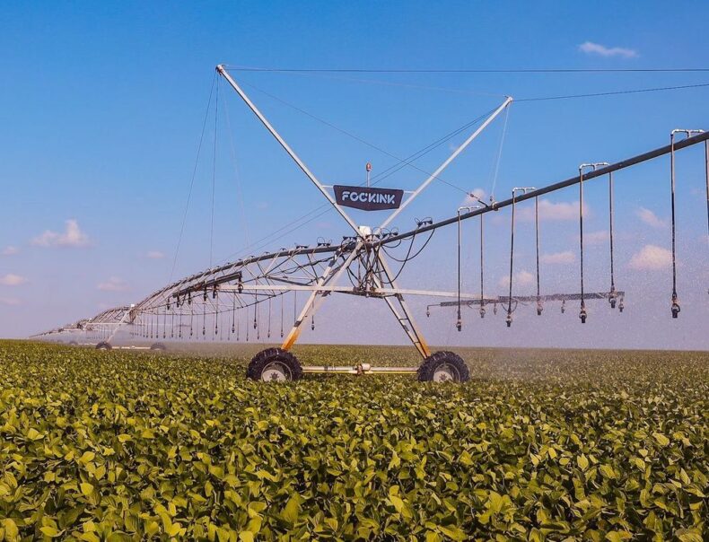 Produção de grãos no Piauí em 2025 deve atingir recorde