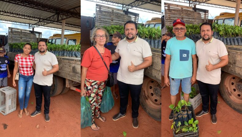 Prefeitura entrega 5 mil mudas de Caju para agricultores de Dom Expedito Lopes