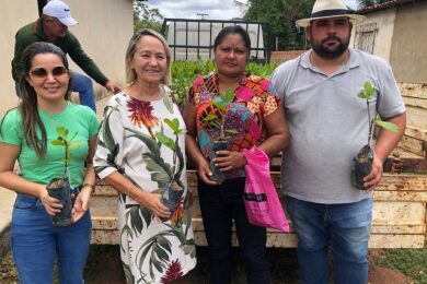Prefeitura entrega mudas de caju para agricultores de Mirolândia
