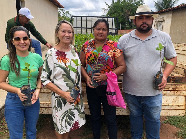 Prefeitura entrega mudas de caju para agricultores de Mirolândia