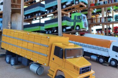 3ª Festa dos Miniaturas acontece neste domingo em Dom Expedito Lopes