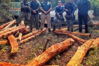 Operação contra desmatamento aplica R$ 2 milhões em multas no Piauí