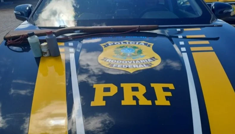 PRF apreende arma durante fiscalização na BR-316