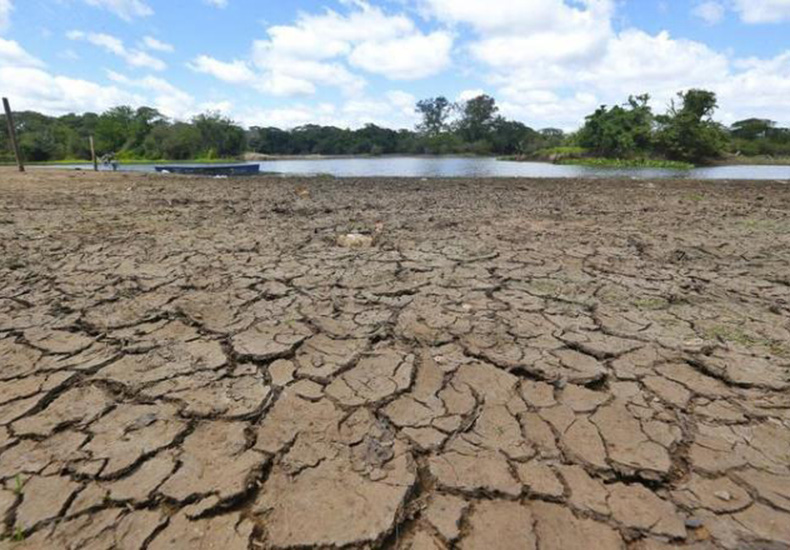 Mudanças climáticas provocam seca grave e altas temperaturas no Piauí; 45 municípios já enfrentam colapso hídrico