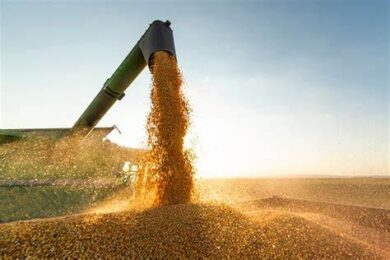 Piauí supera R$ 2,4 bilhões em exportações até maio