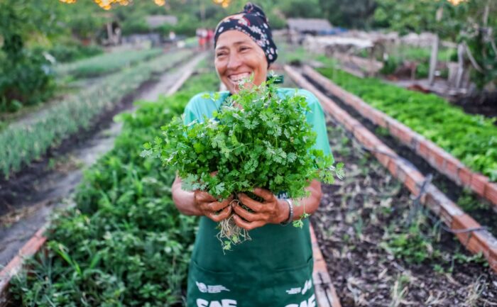 Extrema pobreza cai 50% e Piauí lidera ranking do Nordeste