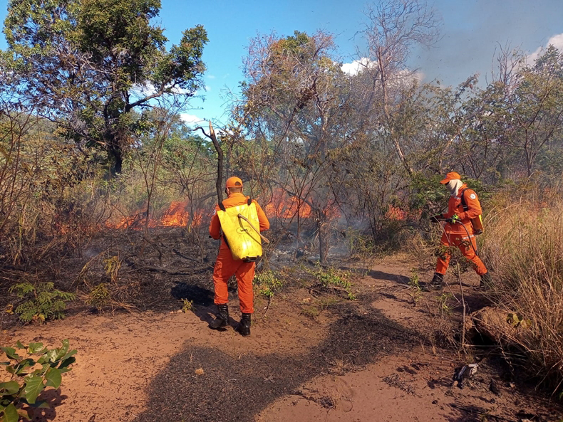 Corpo de Bombeiros alerta para aumento de incêndios no período junino