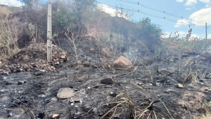 Picos já registrou mais de 50 ocorrências de incêndios em agosto