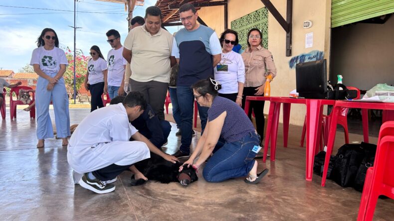 Aroeiras do Itaim realiza Dia D de vacinação antirrábica com atendimento veterinário, testes rápidos e entrega de cadernetas de vacinação