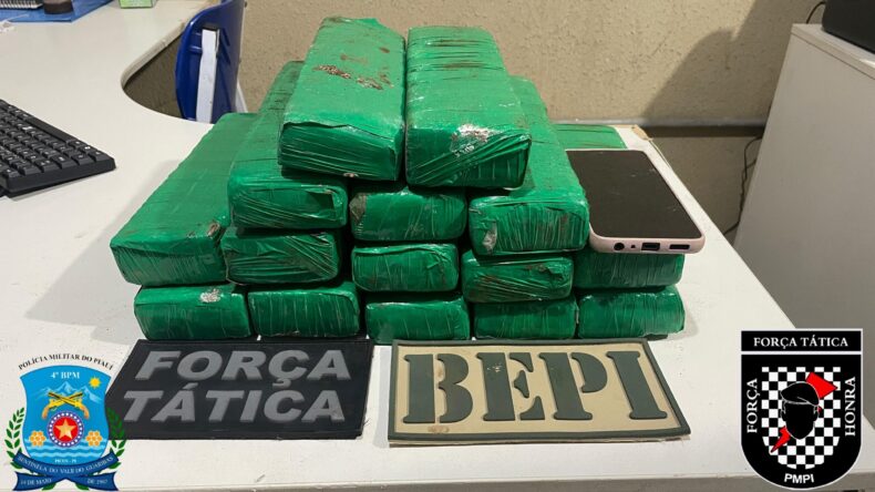 Mulher é presa com 15 tabletes de maconha ao desembarcar na rodoviária de Picos