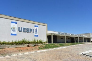 Uespi abre seletivo para professores na modalidade EAD