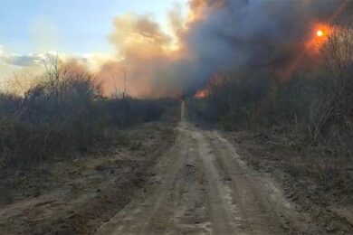 Incêndios de grandes proporções matam animais e ferem moradores no Sul do Piauí