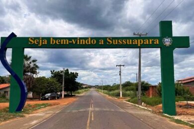 Idosa morre após ser atropelada por motociclista em Sussuapara