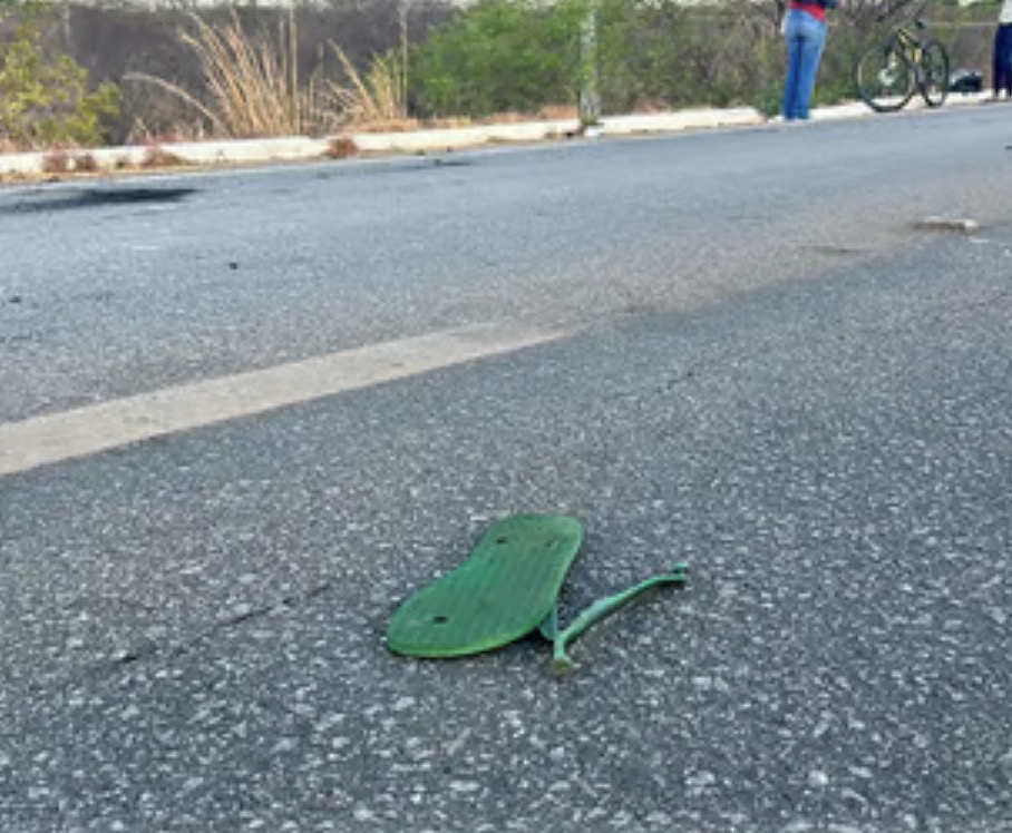 Homem morre após ser atropelado por caminhonete na BR-407, em Picos