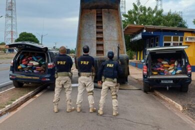 PRF apreende 350 kg de skunk em fundo falso de caminhão na BR-316, em Picos