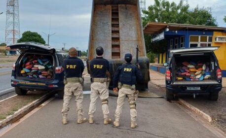 PRF apreende 350 kg de skunk em fundo falso de caminhão na BR-316, em Picos