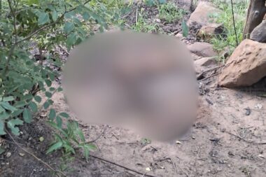 Ossada humana é encontrada em área de mata na zona rural de Picos