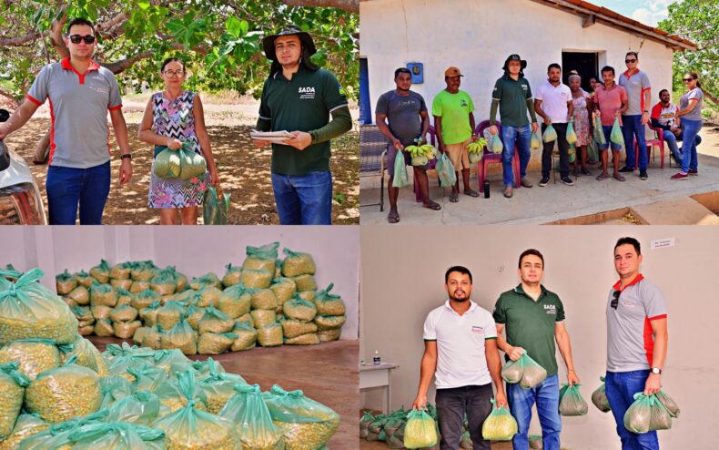 Prefeitura de Santo Antônio de Lisboa entrega sementes e fortalece agricultura familiar