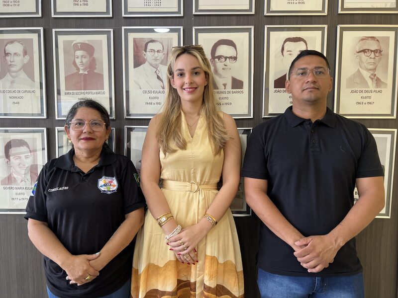 CMDCA divulga relação preliminar de inscritos no Processo de Escolha Suplementar Indireta do Conselho Tutelar de Picos