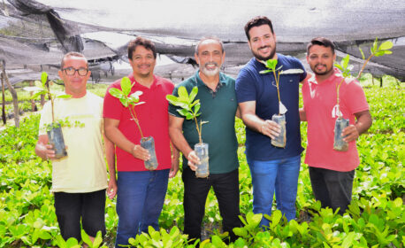 Prefeitura de Santo Antônio de Lisboa inicia distribuição de 28 mil mudas de caju e fortalece agricultura familiar