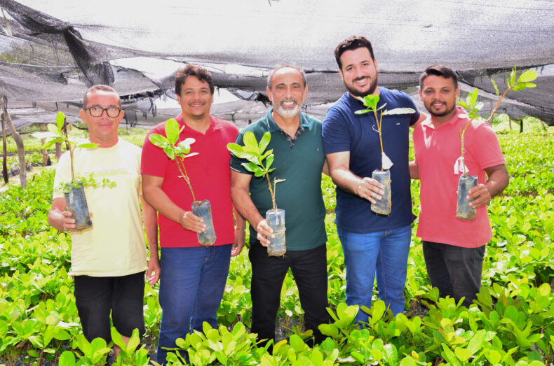 Prefeitura de Santo Antônio de Lisboa inicia distribuição de 28 mil mudas de caju e fortalece agricultura familiar