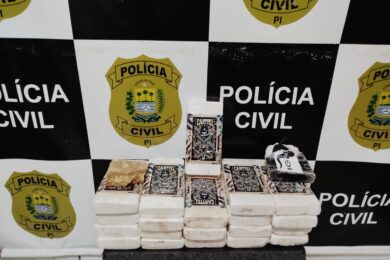 Polícia apreende cerca de R$ 2 milhões em drogas durante operação em Oeiras