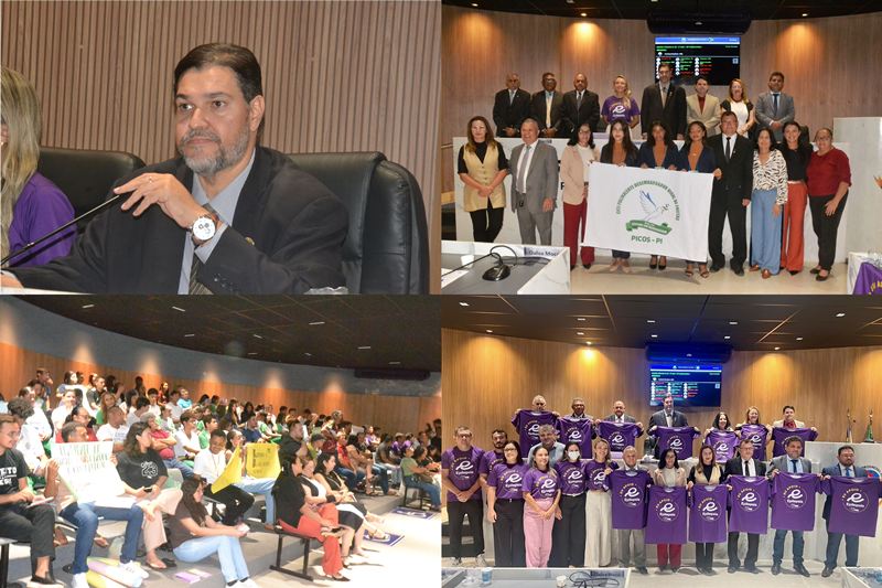 Sessão na Câmara de Picos reúne debate sobre epilepsia, protagonismo juvenil e protesto por transporte público