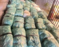 PRF apreende cerca de 320 kg de droga após acidente na BR-020 em Monsenhor Hipólito