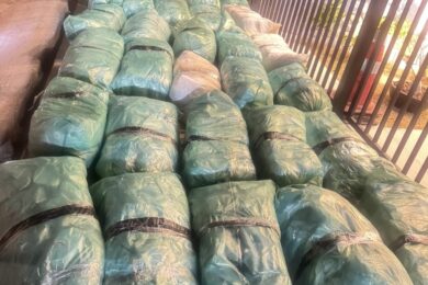 PRF apreende cerca de 320 kg de droga após acidente na BR-020 em Monsenhor Hipólito
