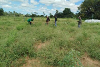 Prefeitura de Picos inicia atualização e cadastramento do CCIR para produtores rurais