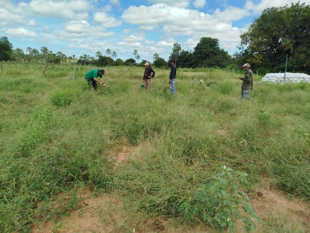 Prefeitura de Picos inicia atualização e cadastramento do CCIR para produtores rurais