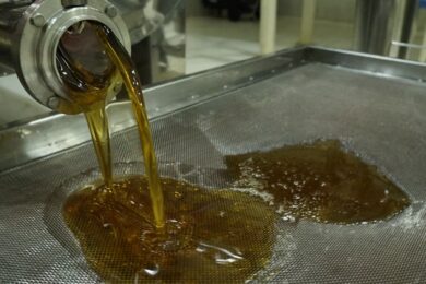 Tarifa de 25% dos EUA preocupa setor apícola do Piauí