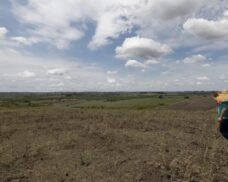 Piauí deixa de ter seca grave e extrema; 54 municípios sem estiagem