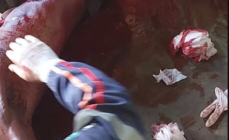 Homem é morto a facadas no bairro Junco, em Picos; suspeito do crime é preso