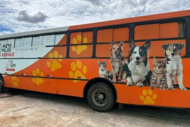 Busão da Castração inicia atendimentos gratuitos para cães e gatos em Picos