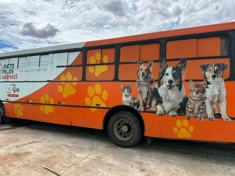 Busão da Castração inicia atendimentos gratuitos para cães e gatos em Picos